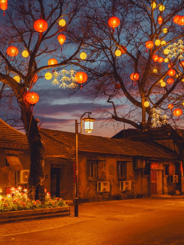 Scene of Spring Festival