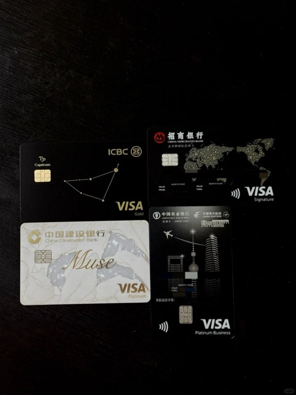 Visa Card