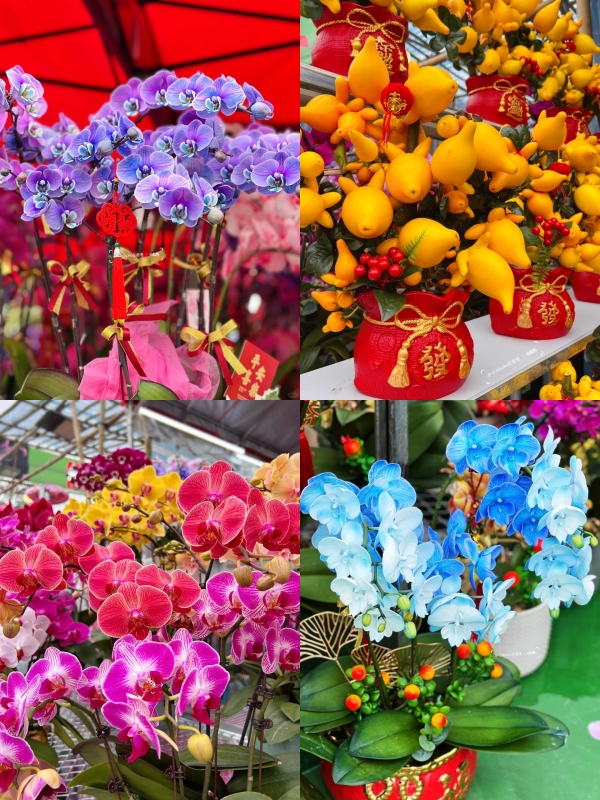 HongKong Chinese New Year Events 2026
