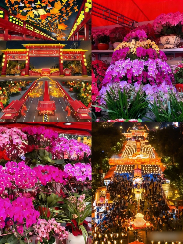 Shenzhen Chinese New Year Events 2026