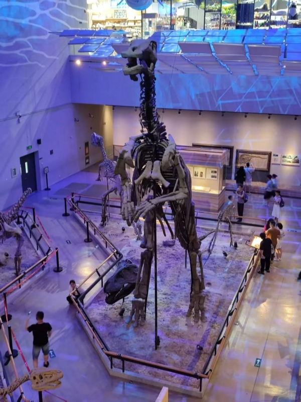 Guangdong Museum Paleontology Hall