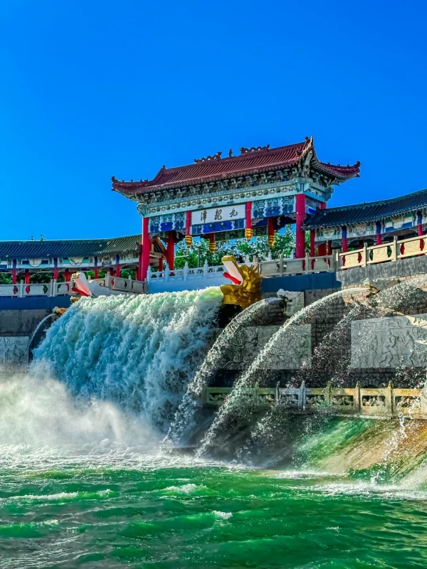 Dragon Pools