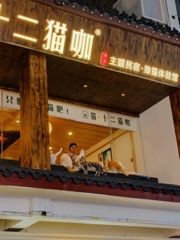 Store in Guanqian Street