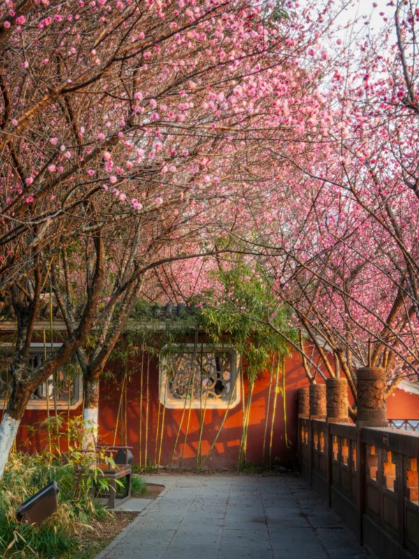 Best Time to Visit Wangjianglou