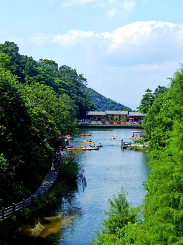 Maofeng Mountain Forest Park