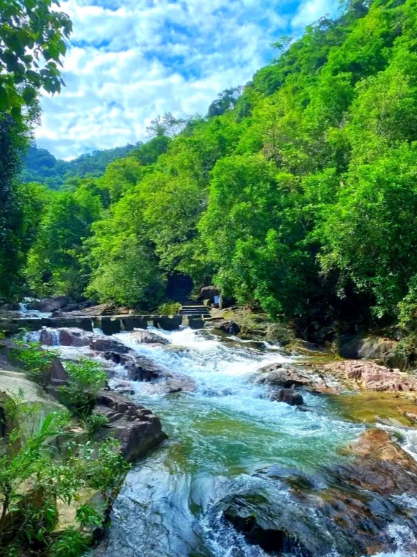 Baijianghu Forest Park