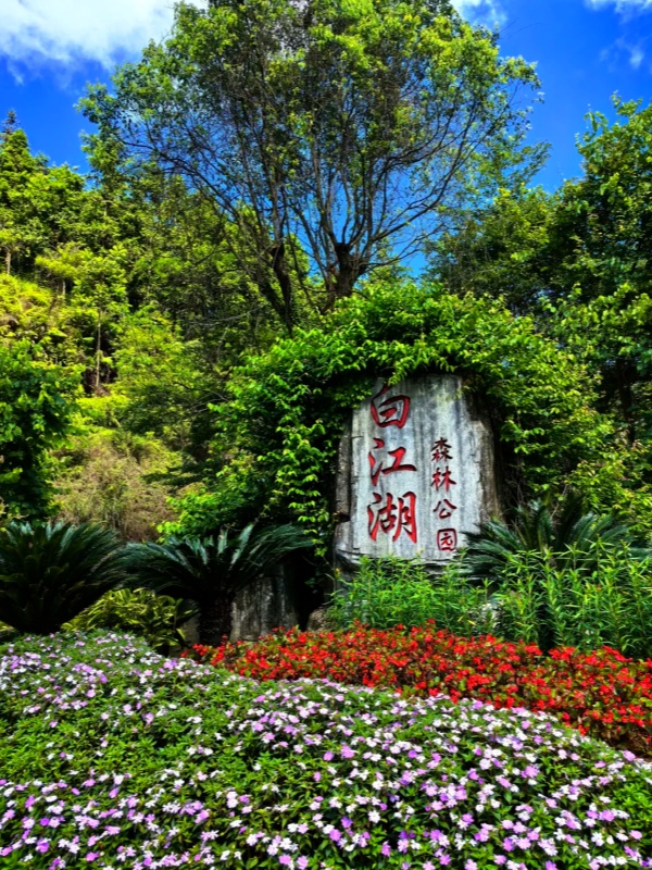 Baijianghu Forest Park