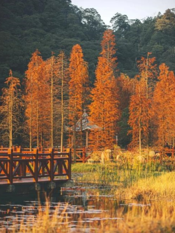 Shimen National Forest Park