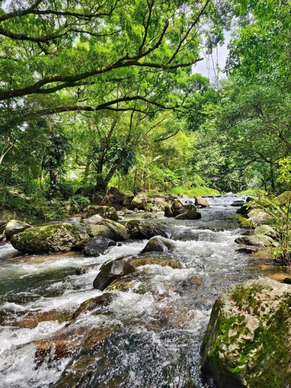 Shimen National Forest Park