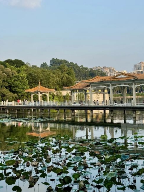 Luhu Park
