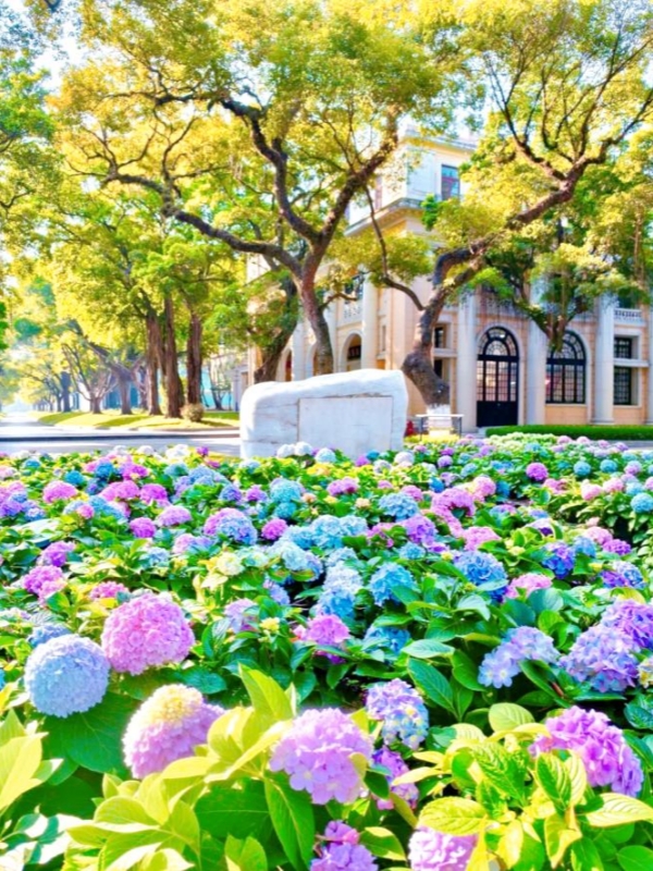 Shamian Island