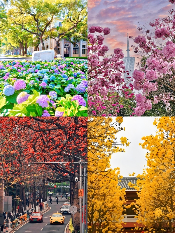 Spring in Guangzhou