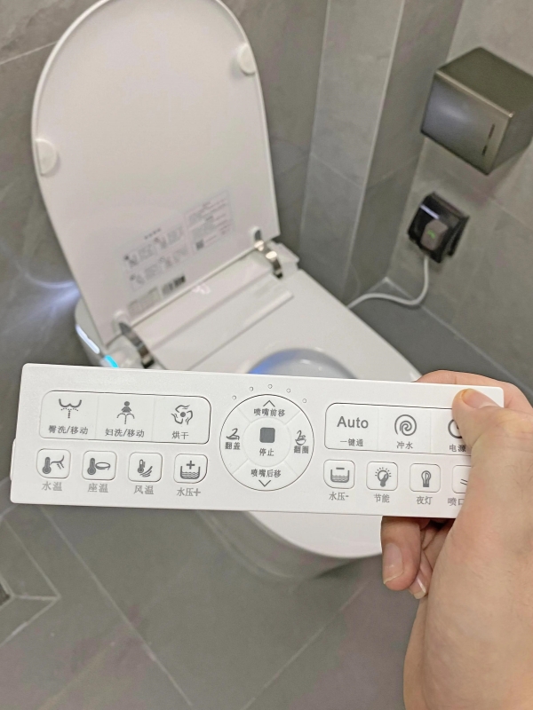 Smart Toilet Control Panel