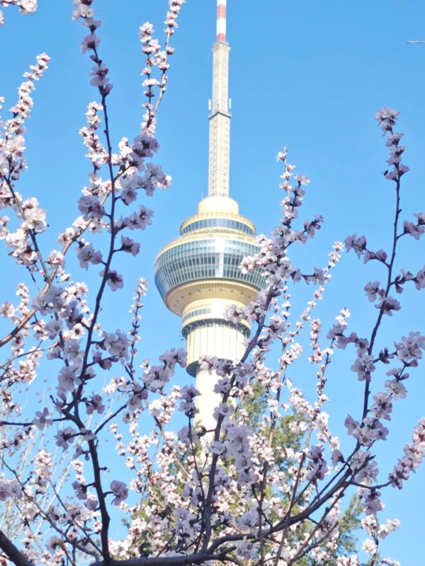 Yuyuantan Park