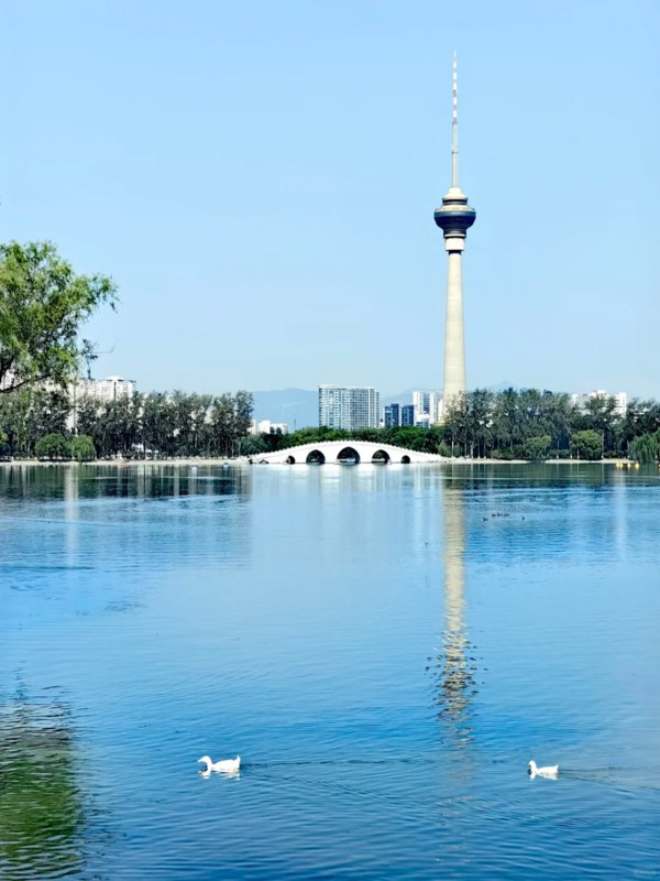 Lake in Yuyuantan