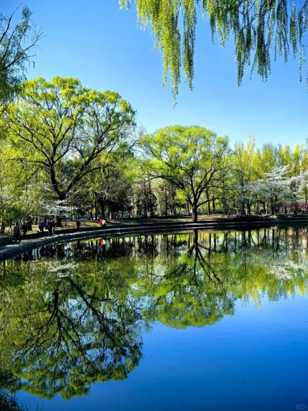 Path inside Yuyuantan