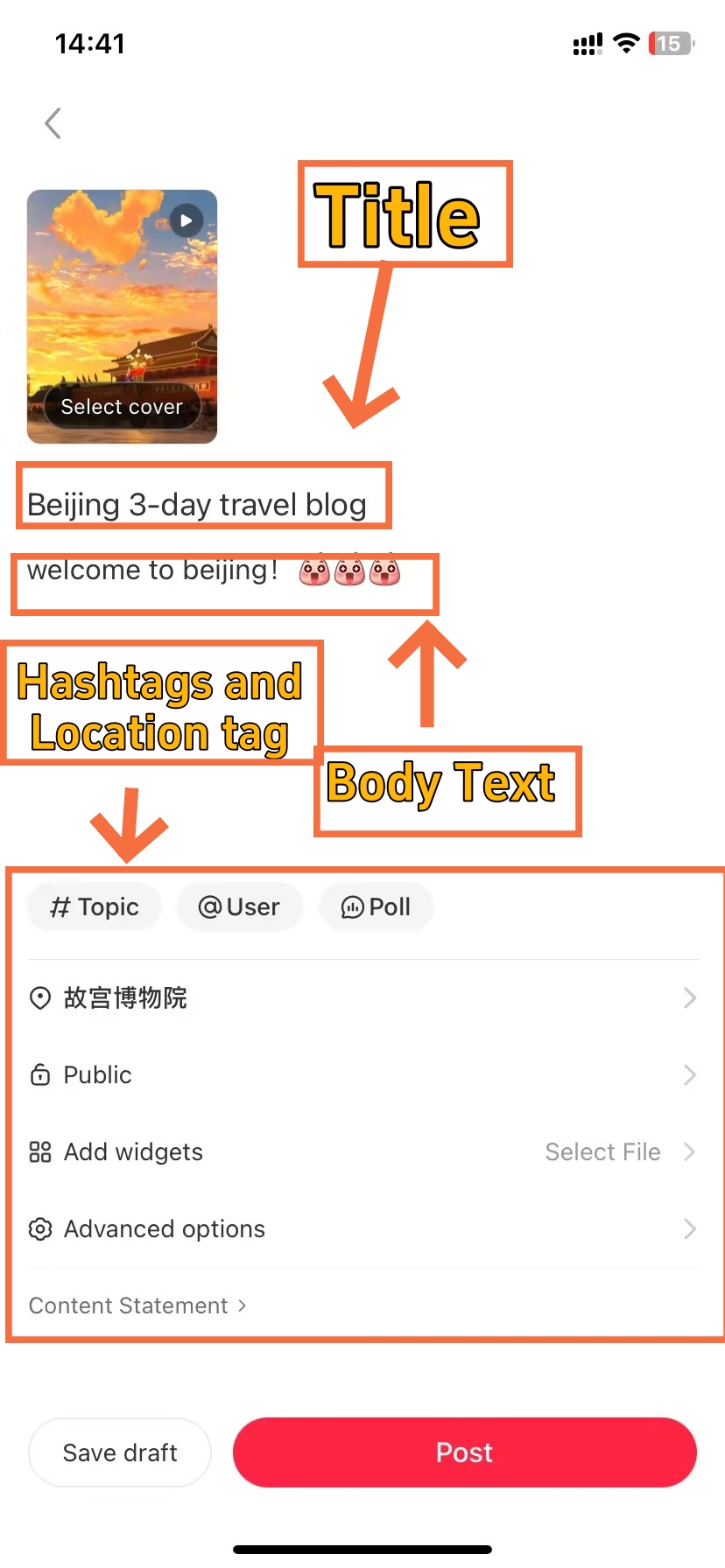 Add Post Details