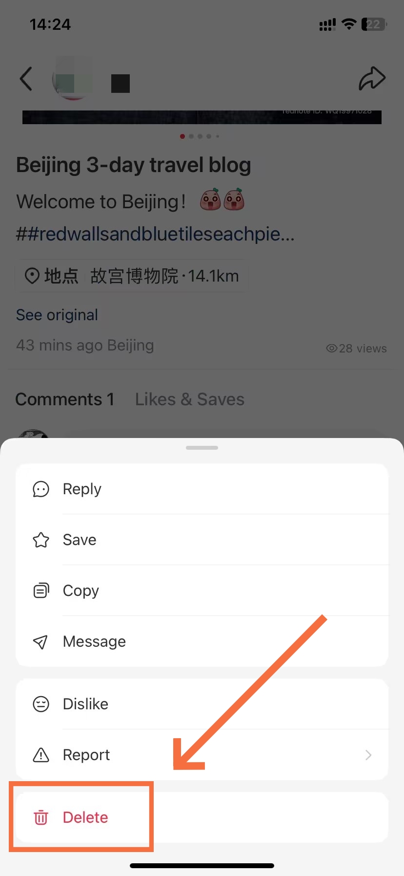 Delete a Comment