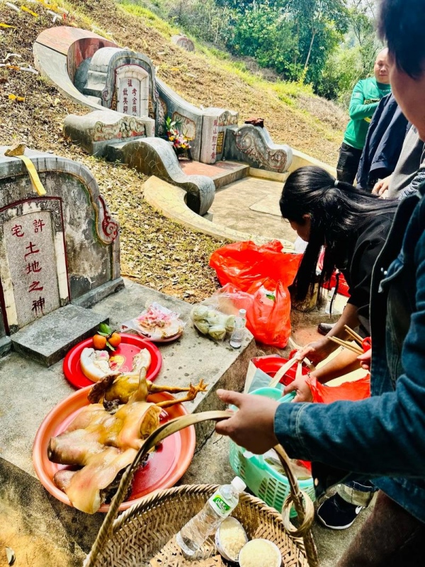 Lay out Offerings