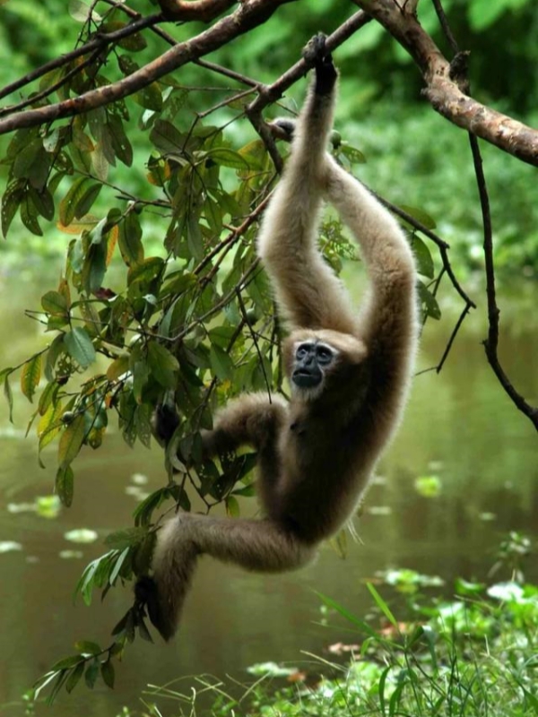 Yunnan's Wild Southwest