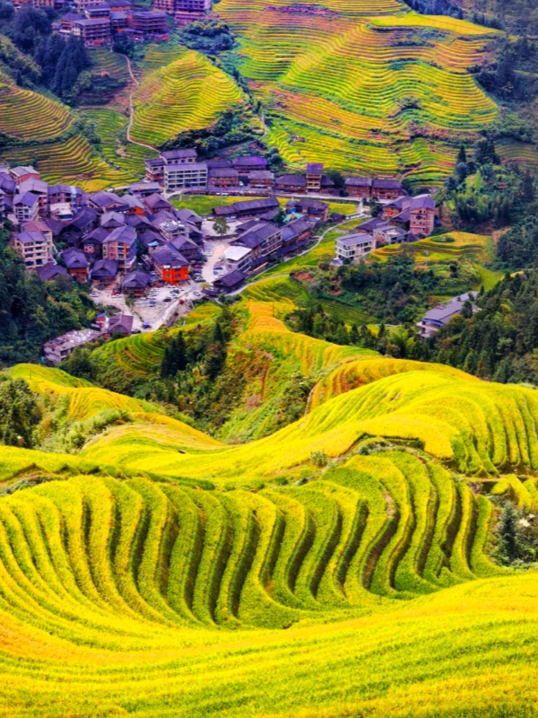 Longji Rice Terraces in Guilin