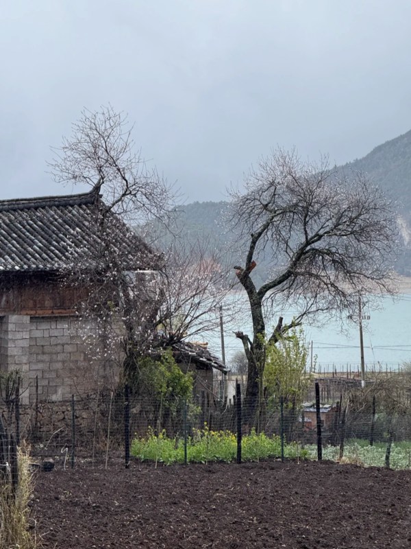 Wenhai Old Town