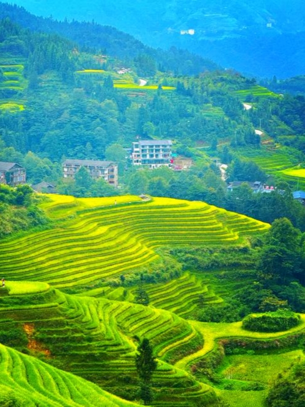 Guilin Longji Rice Terraces