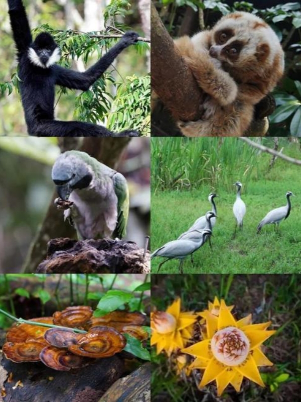 Wild Southwest in Yunnan