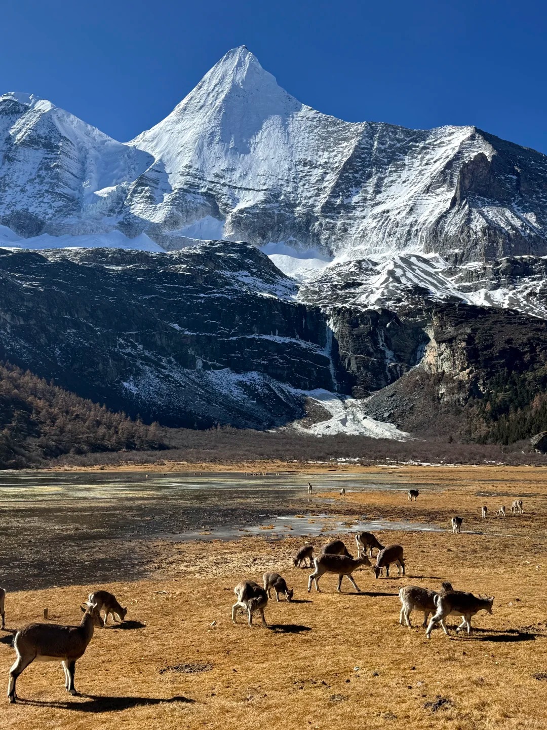 Yading Nature Reserve