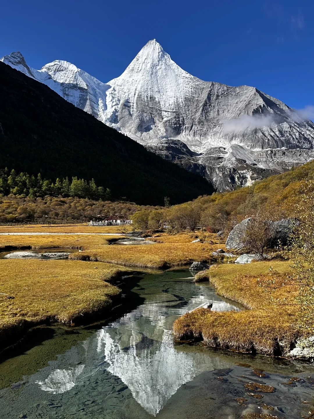 Yangmaiyong