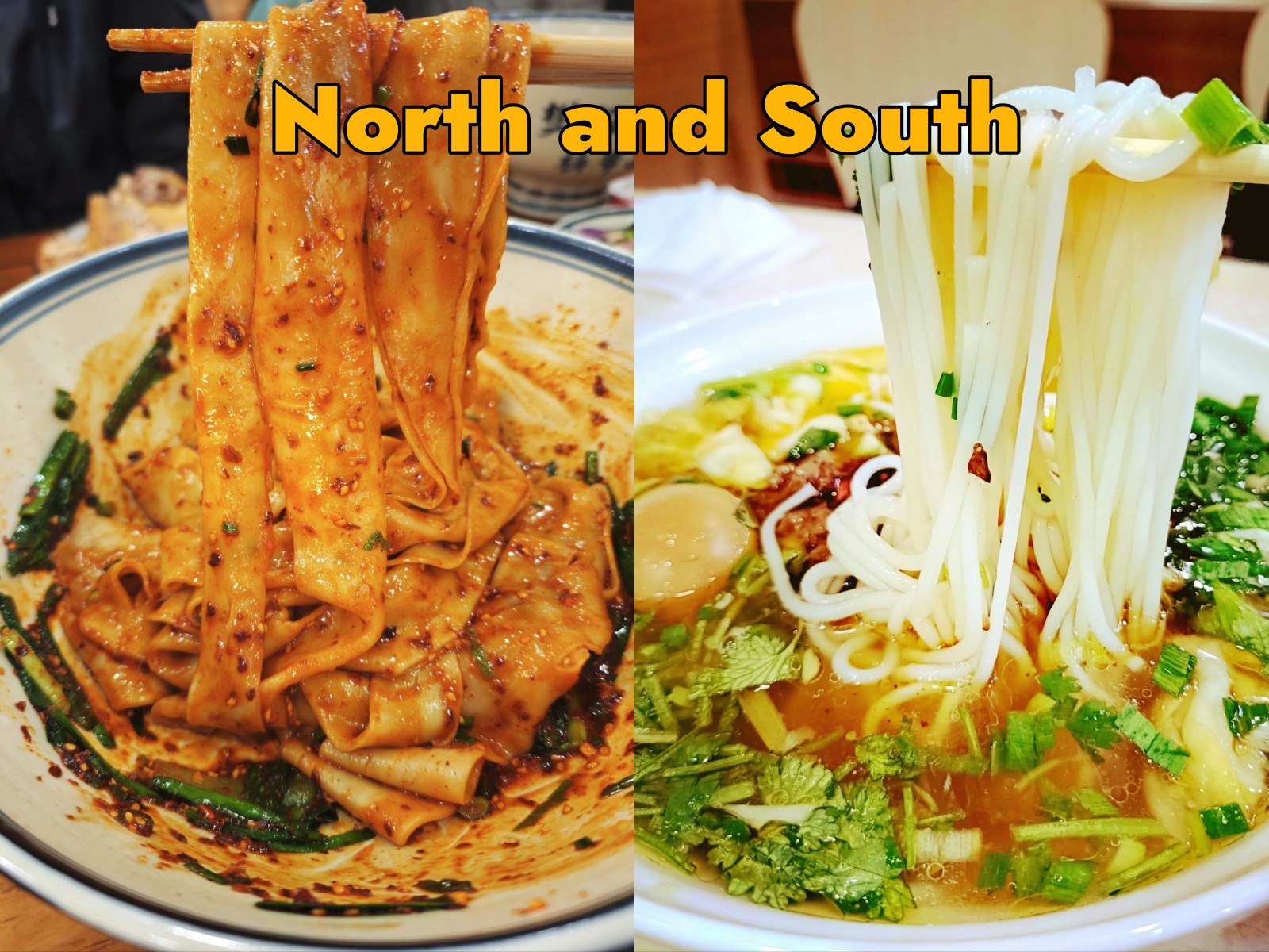 Wide Noodles vs. Rice Noodles