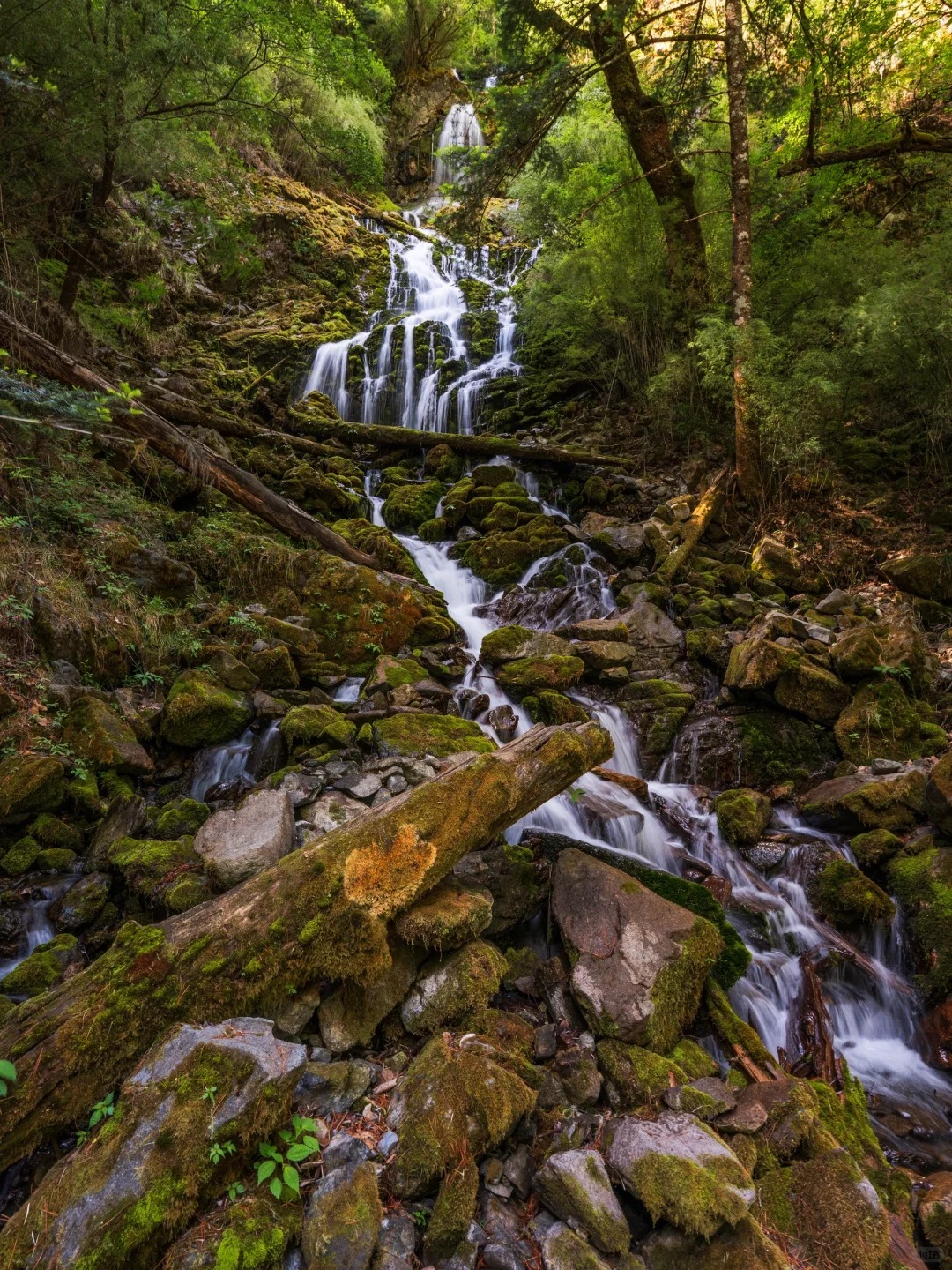 Waterfall in Forest