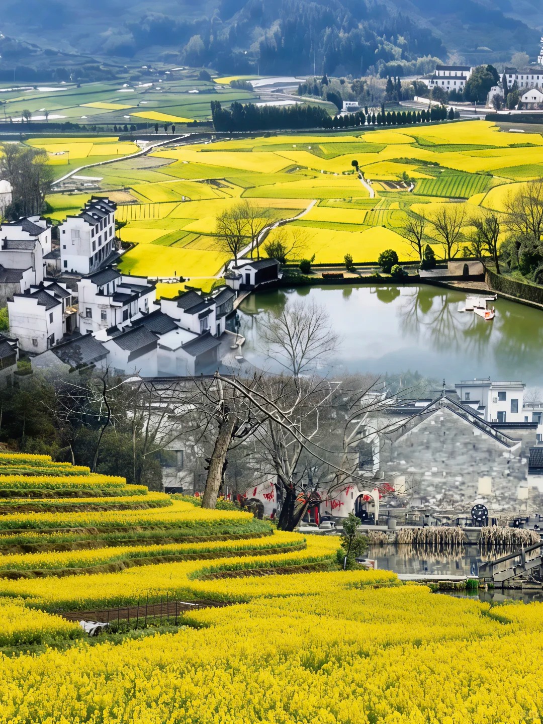 Natural Scenery of Chengkan