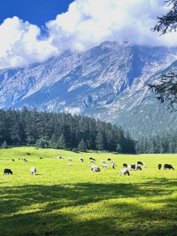 Ganhaizi Grassland