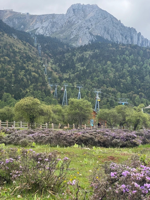 Yala Qingbo Highland Pasture
