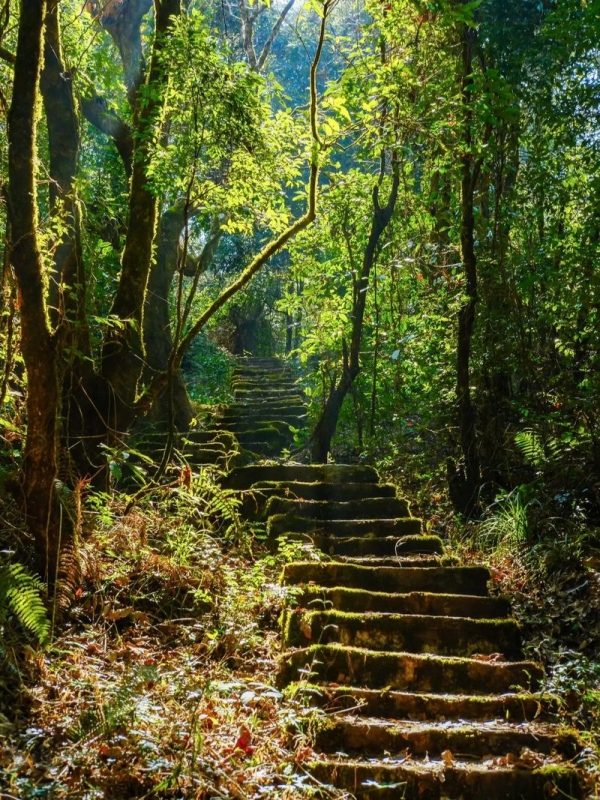 Gaoligong Mountain