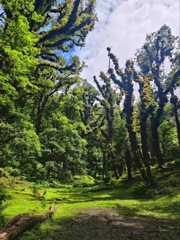 Gaoligong Mountain