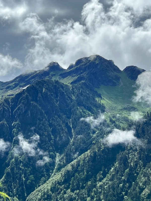 Gaoligong Mountain mountains in yunnan