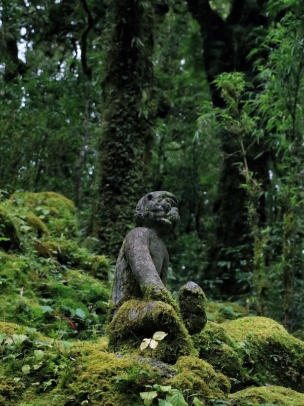 Ailao Mountain