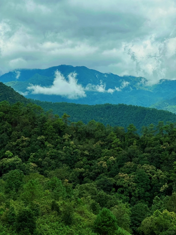 Wuliang Mountain mountains in yunnan