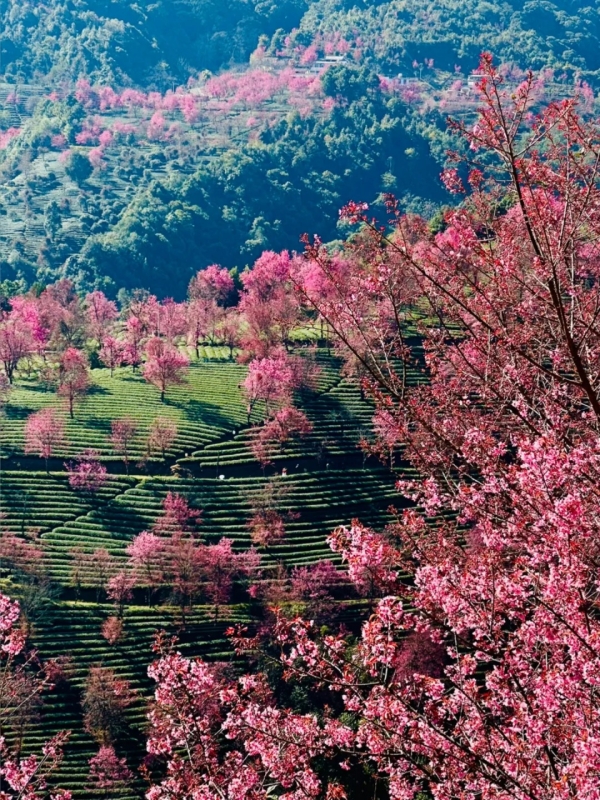 Wuliang Mountain