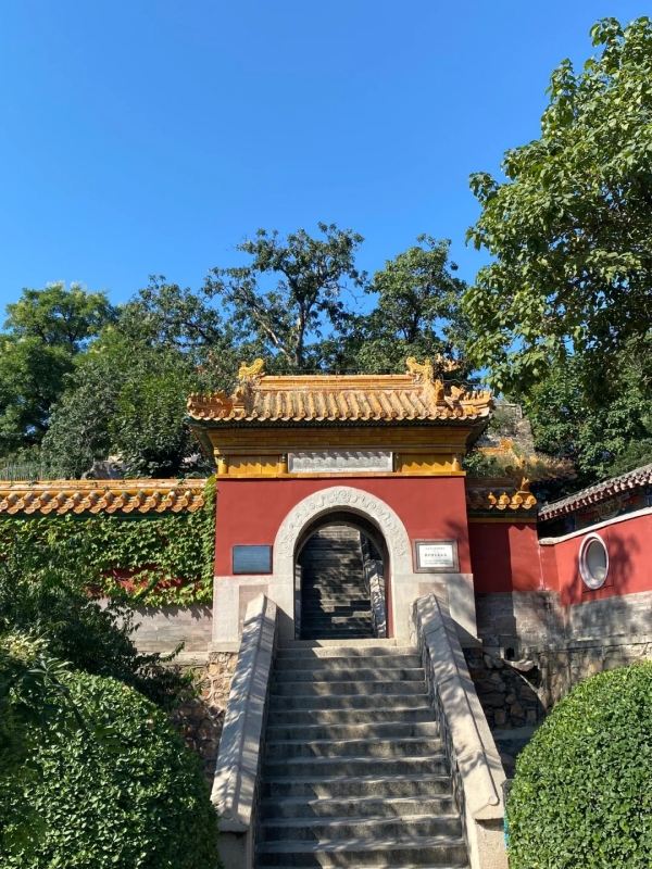 Black Dragon Temple