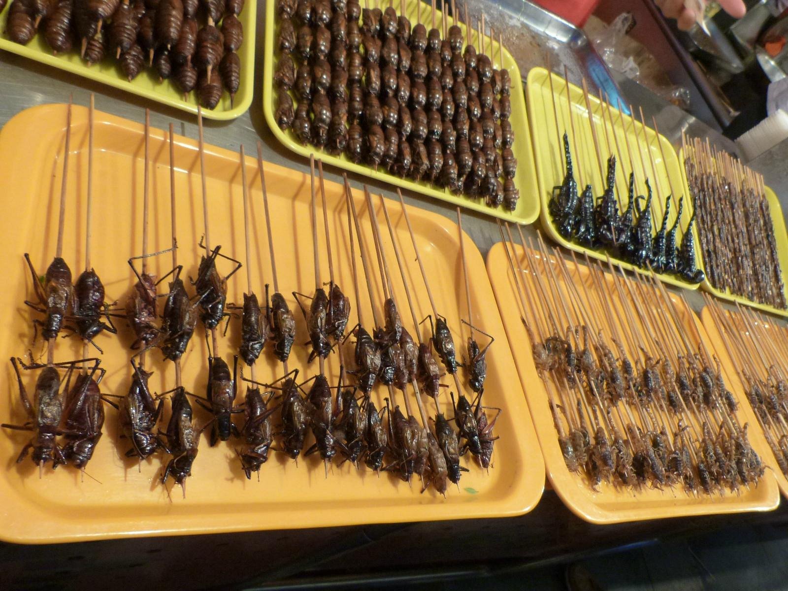 Scorpion Skewers At Donghuamen Market