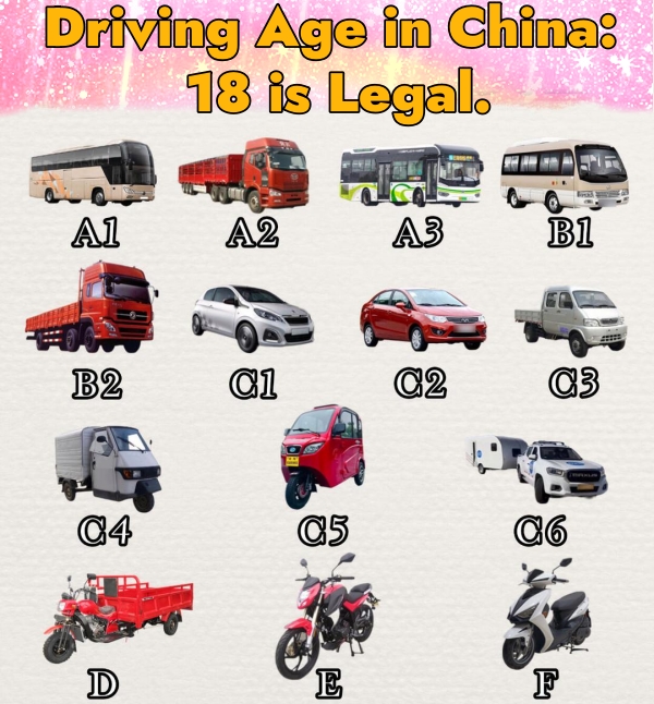 China Driving License Categories Chart