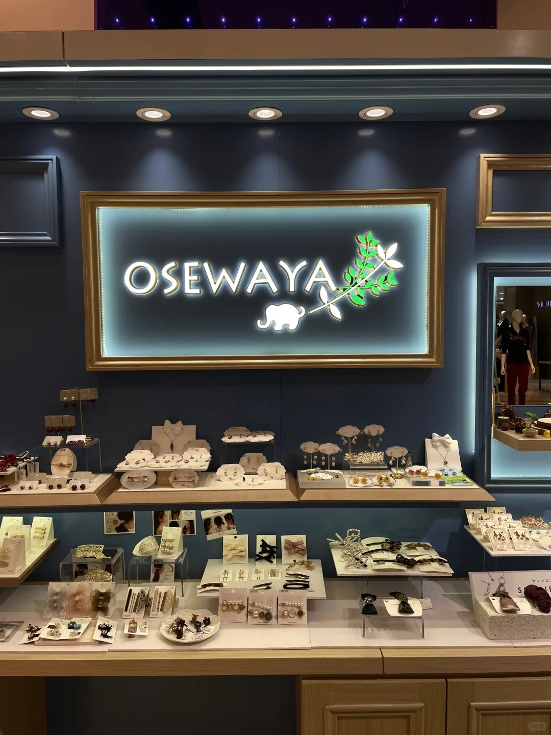 Store of OSEWAYA