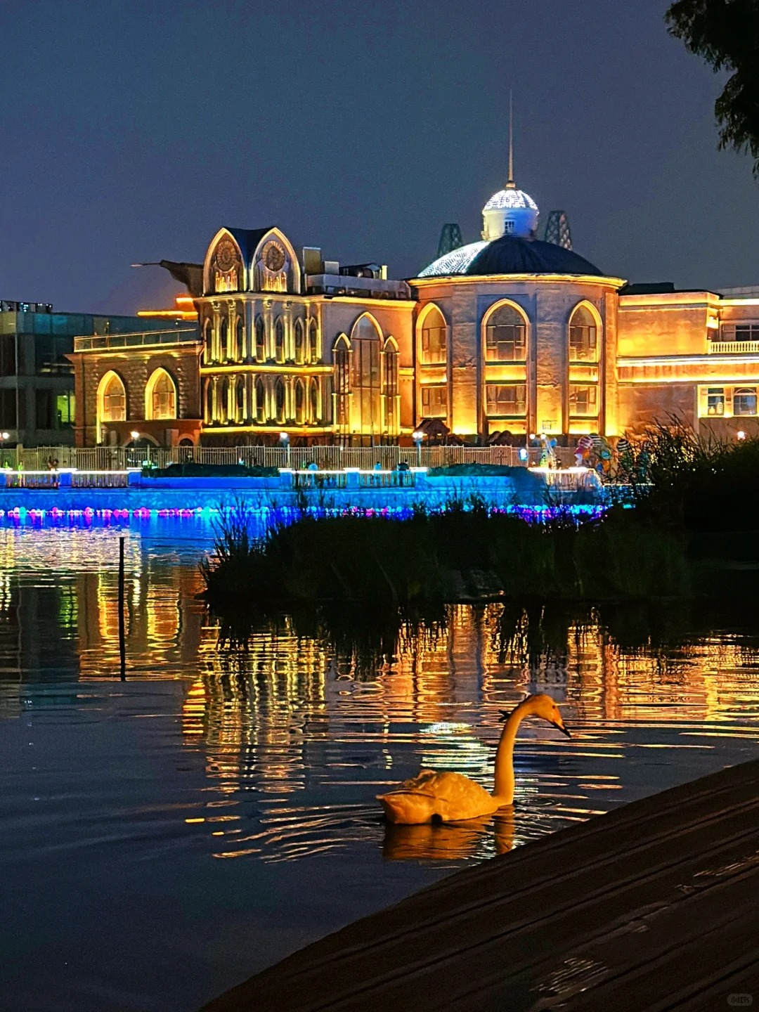Lakeside Area
