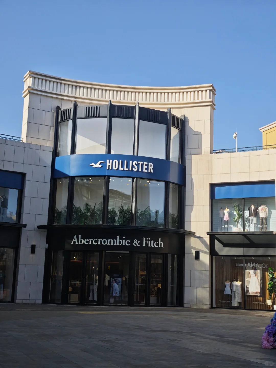 Hollister