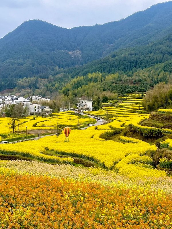 Spring Symphony in Jiangling Terraces