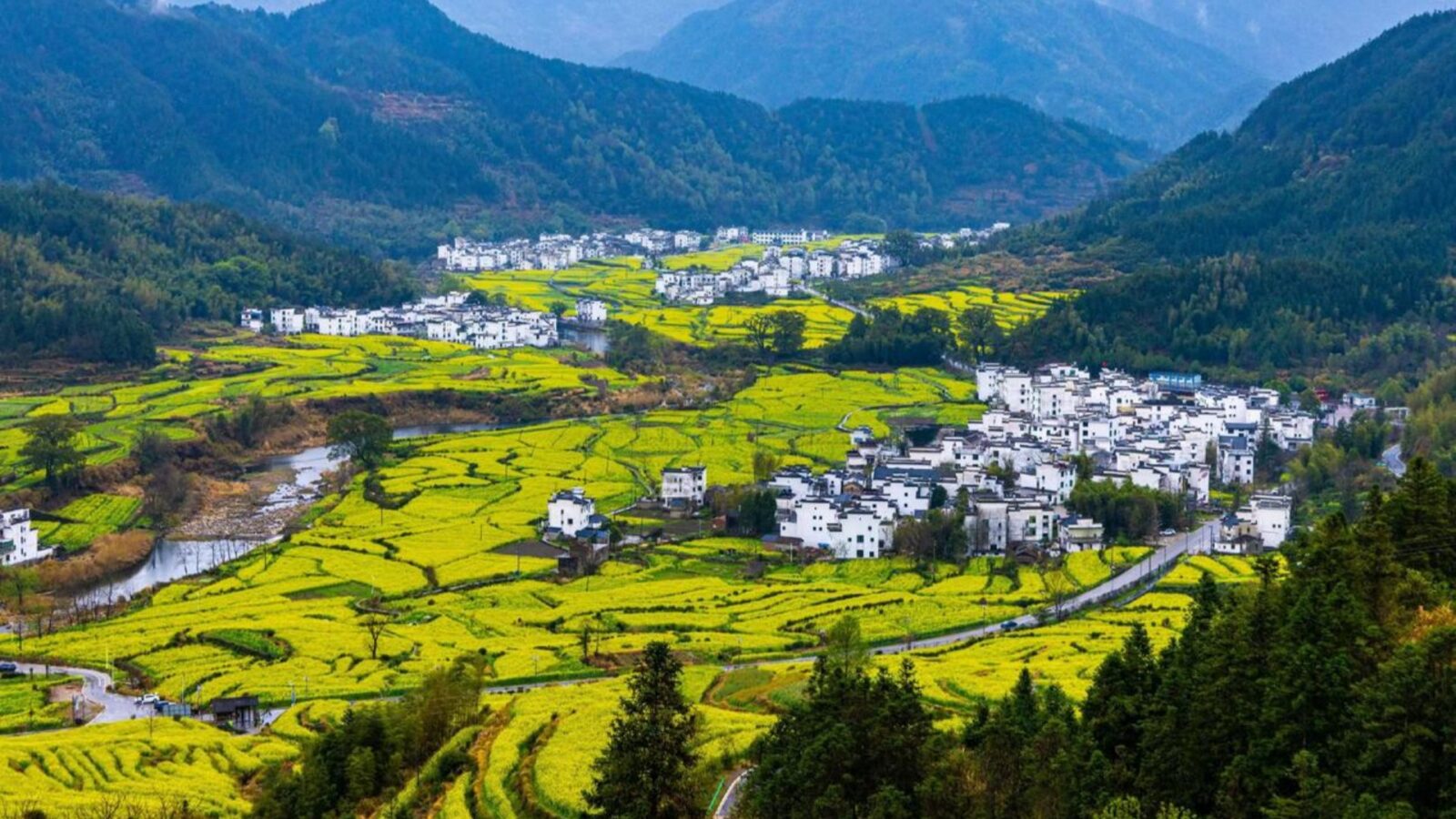 Jiangling Terraced Rapeseed Fields, Wuyuan