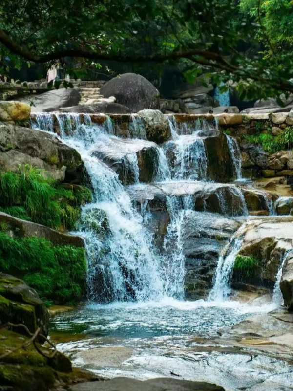 Dazhangshan Wolong Valley